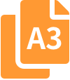 a3