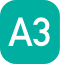 A3